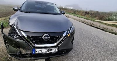 Samica jelenia zginęła po zderzeniu z Nissanem